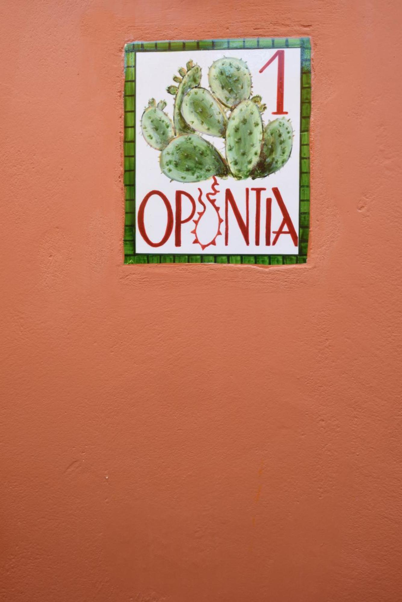 Cactus Hydra - Art Apartments Cameră foto