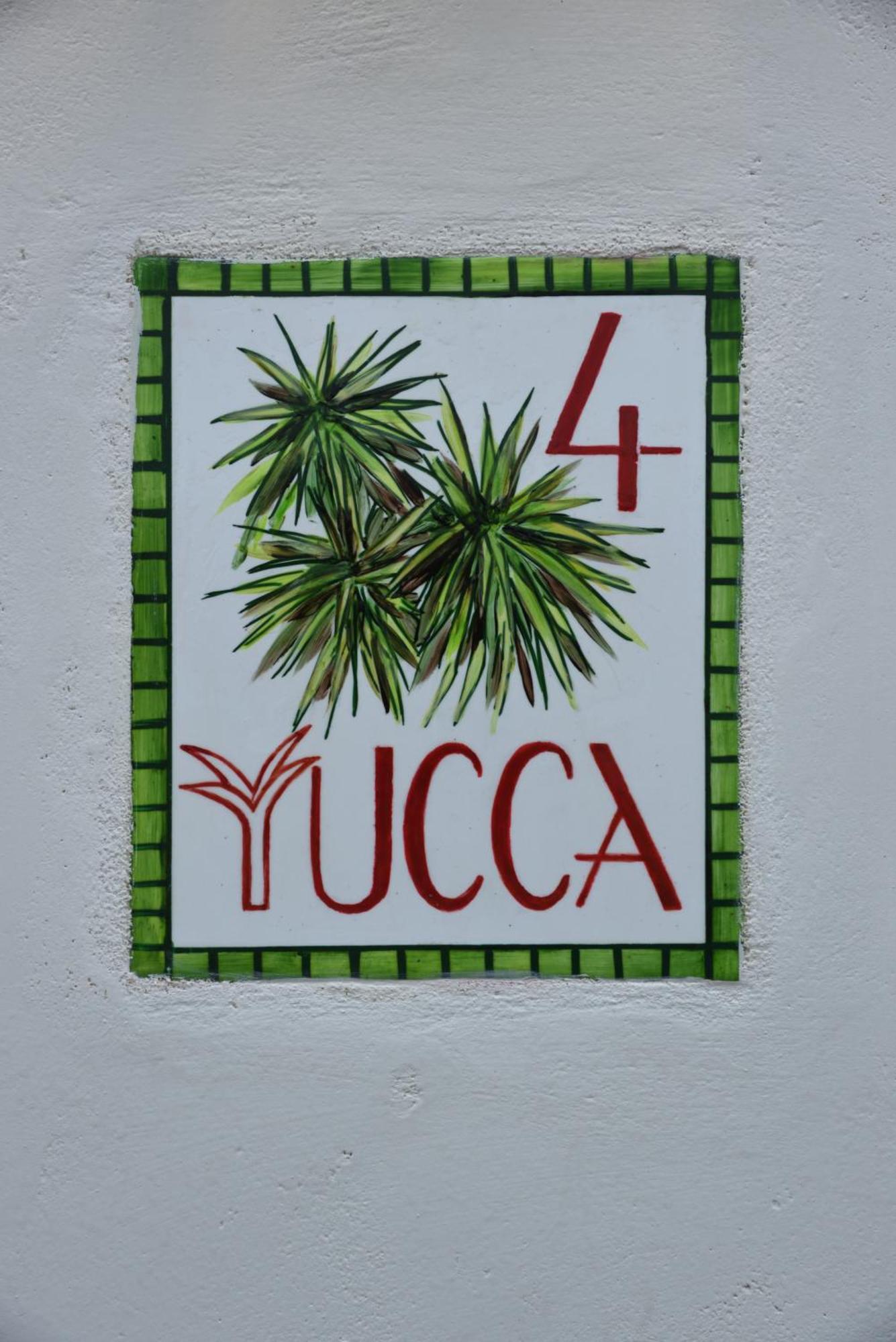 Cactus Hydra - Art Apartments Cameră foto